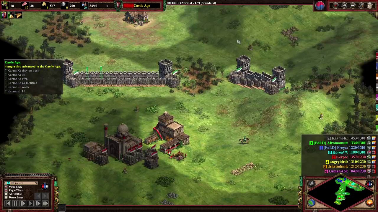 Aoe2DE - 4v4 Ranked Meat Shield