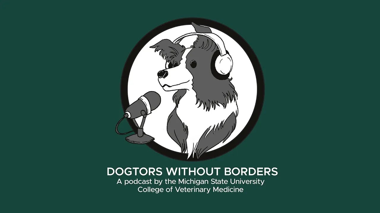 The Pack&rsquo;s Secret Weapon: Vet Nurses and Specialization
