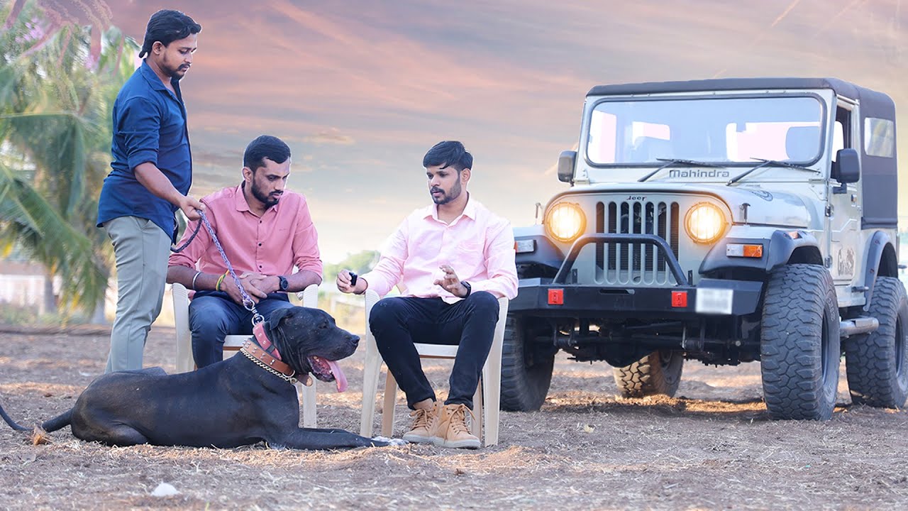 பாகிஸ்தான் முதல் சூலூர் வரை /புல்லி குட்டா போர் நாய்களின் சிறப்பு நேர்காணல் Pakistani BullyKutta