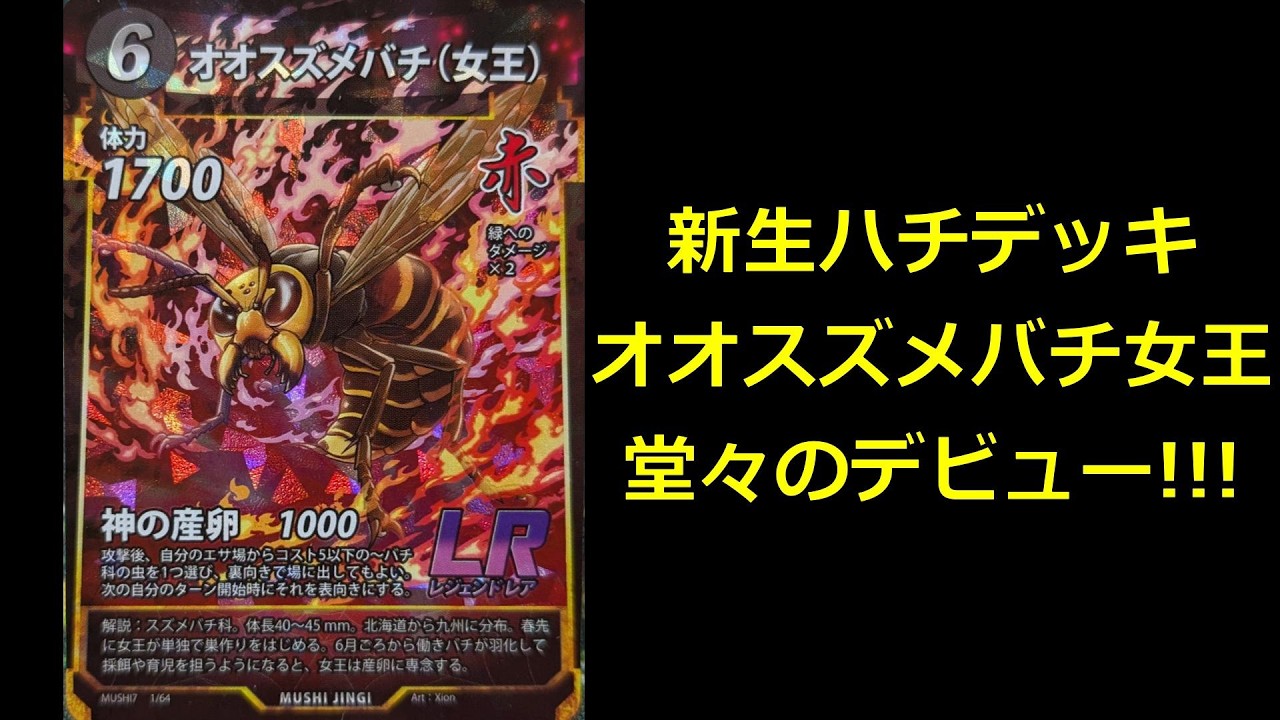 【#蟲神器】躍動する女王！＜スズメバチコントロール＞【#わかむしちゃんねる 306】