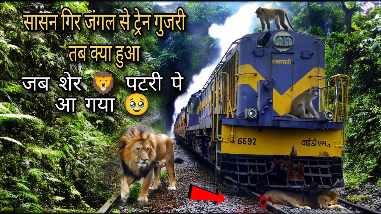 Sasan Gir Train Journey : Gujarat Ki Khoobsurat Rail Safar Ki Kahani | Meter Gauge Train Journey