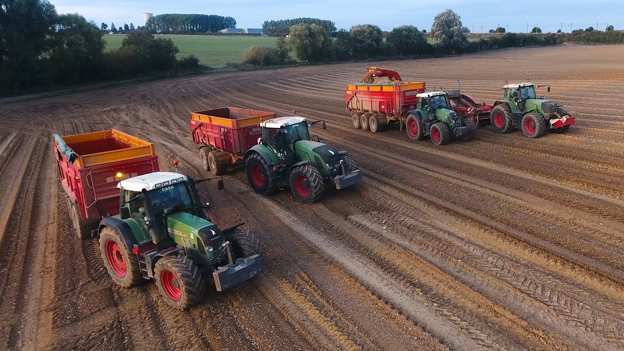 Ramassage D'OIGNONS full FENDT sur ce couché de SOLEIL ! 🤠