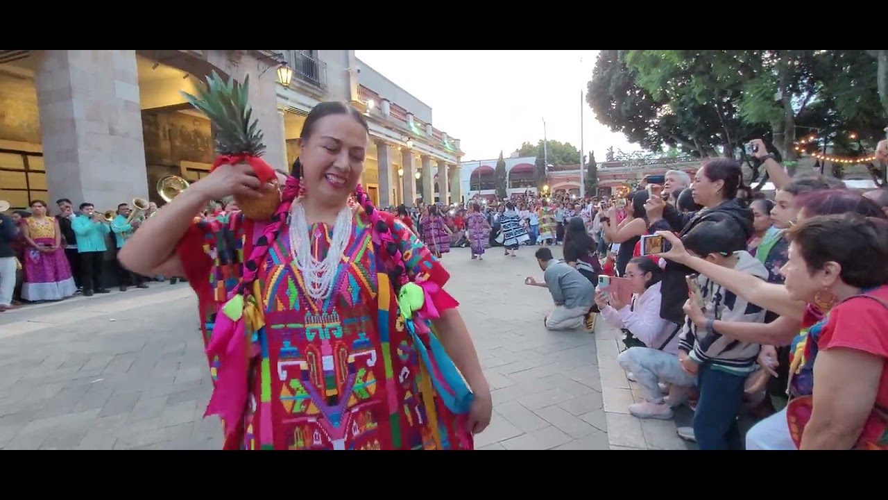 Flor de piña en la Alcaldia Tlalpan