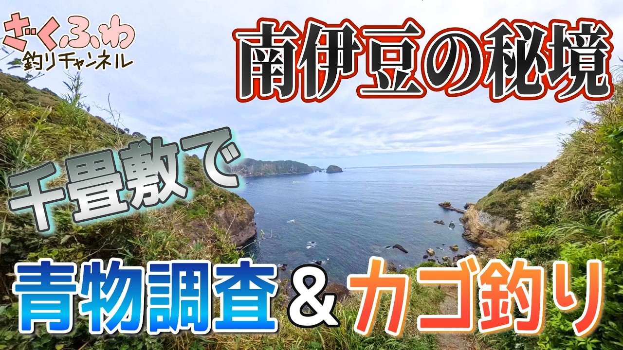 南伊豆のバグ面こと千畳敷！カゴ釣りとヒラスズキ＆青物調査とぶっこみ釣り！【ロックショア】【ショアジギ】【釣場調査】