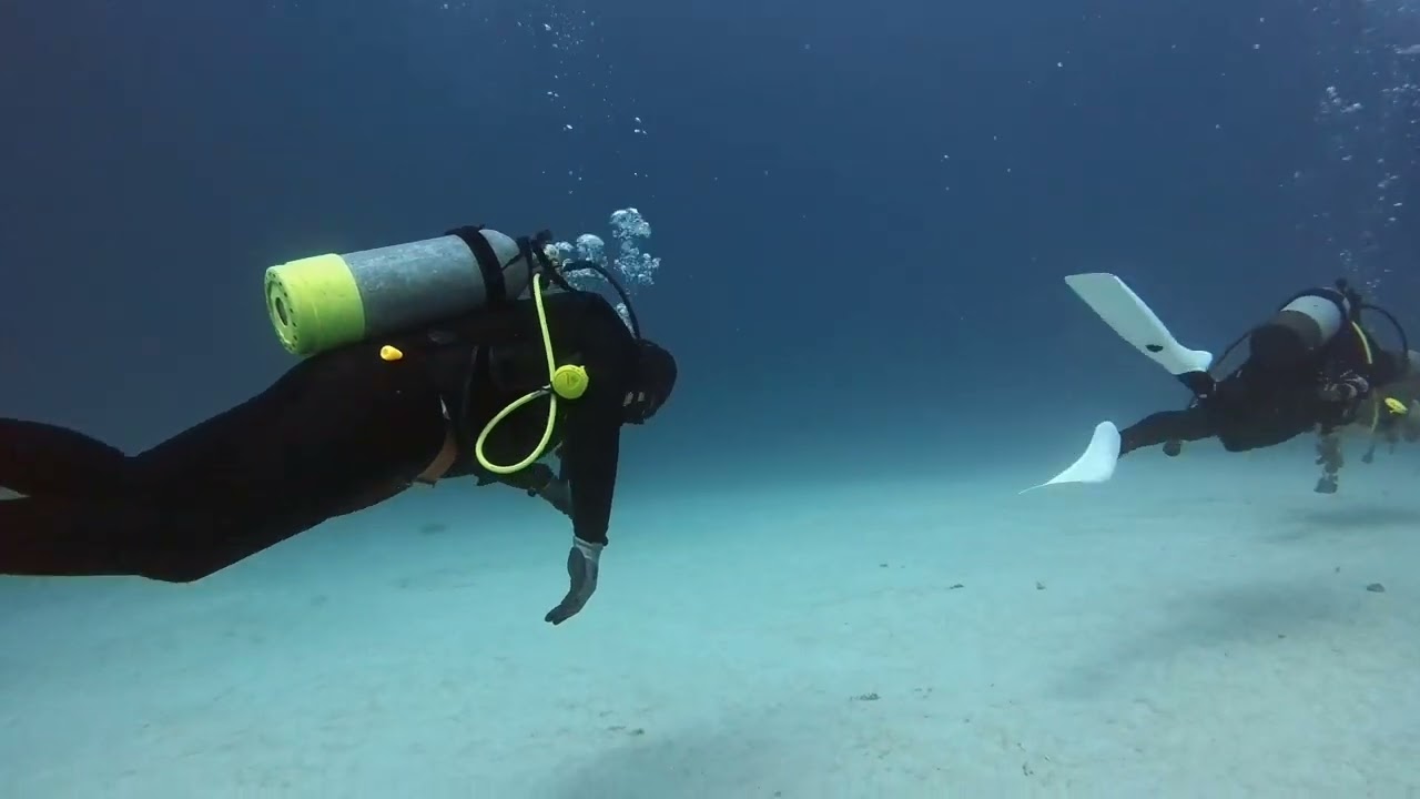 LOG 0004 20260125 110832 JAPAN OKINAWA OKDive CoCoOcean