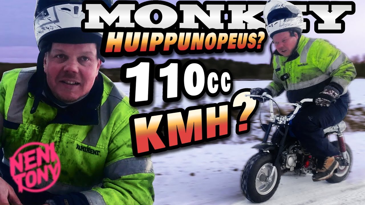 HONDA MONKEY TULIKASTEESSA!
