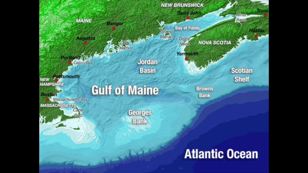 Explore the Gulf of Maine w/ Steve Podsiadlo Part 1 11-8-2023