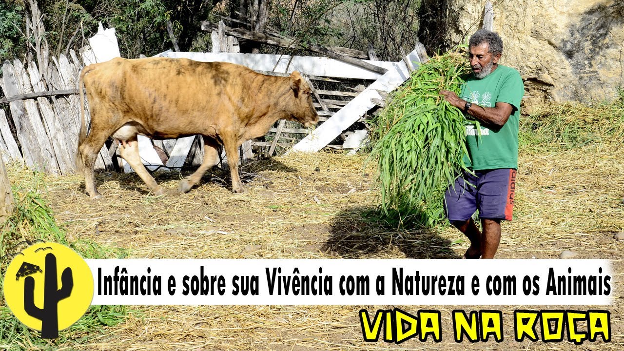[VIDA NA ROÇA] NEGO ZÉ cria 17 Cachorros e fala da infância e vivência com a Natureza e com Animais🌵