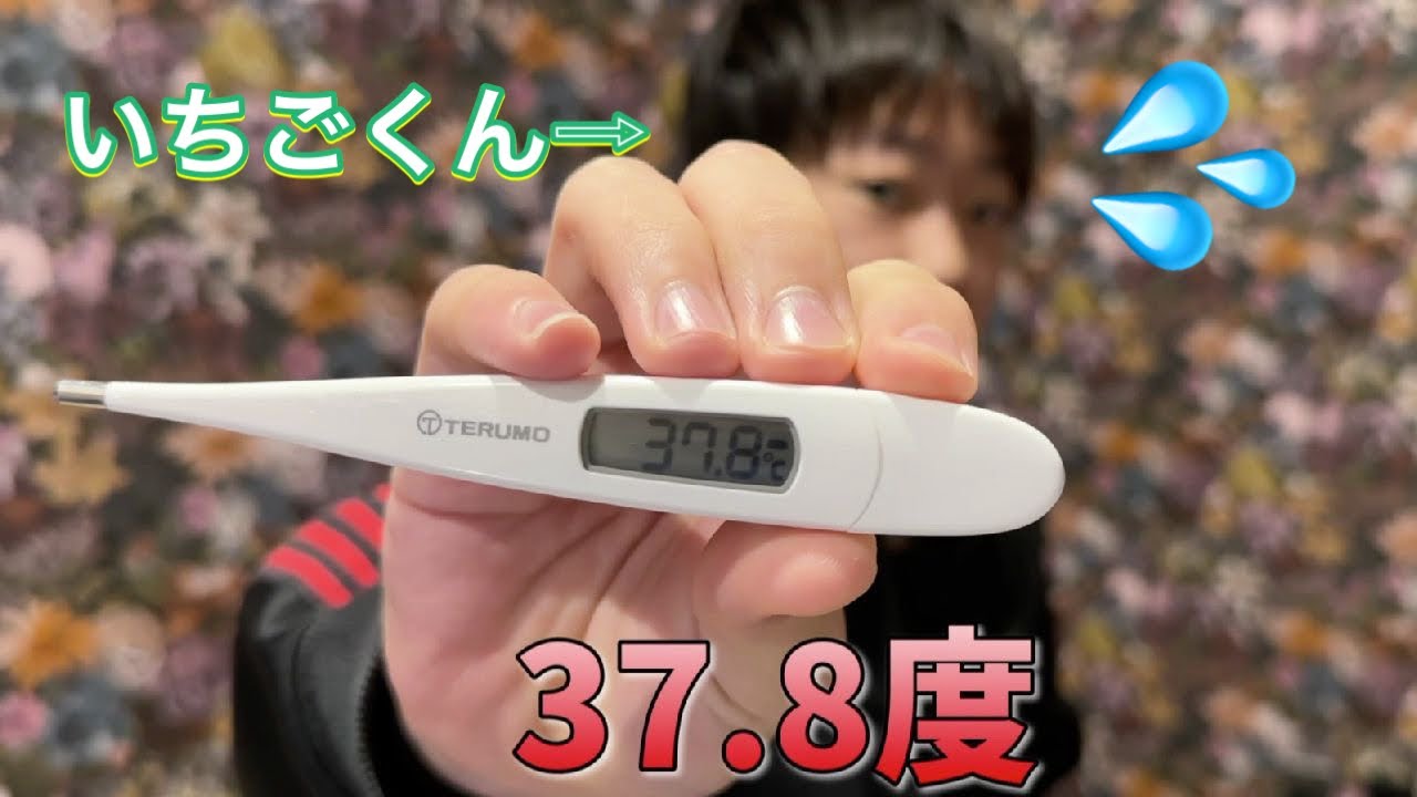 【発熱💦】「パパ診察して〜😢」長男いちごくん👦体調不良💦〜動画の後半にゆび先生からのお知らせがあります〜