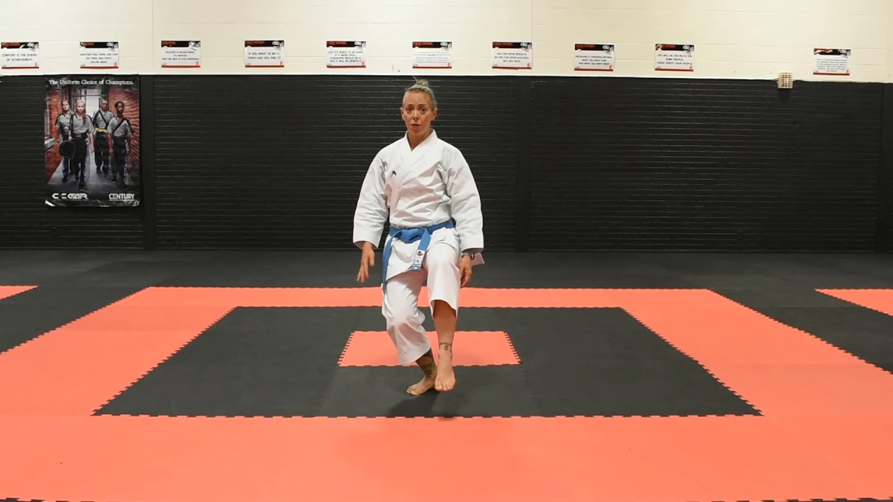 Neko Ashi Dachi (Cat Stance)