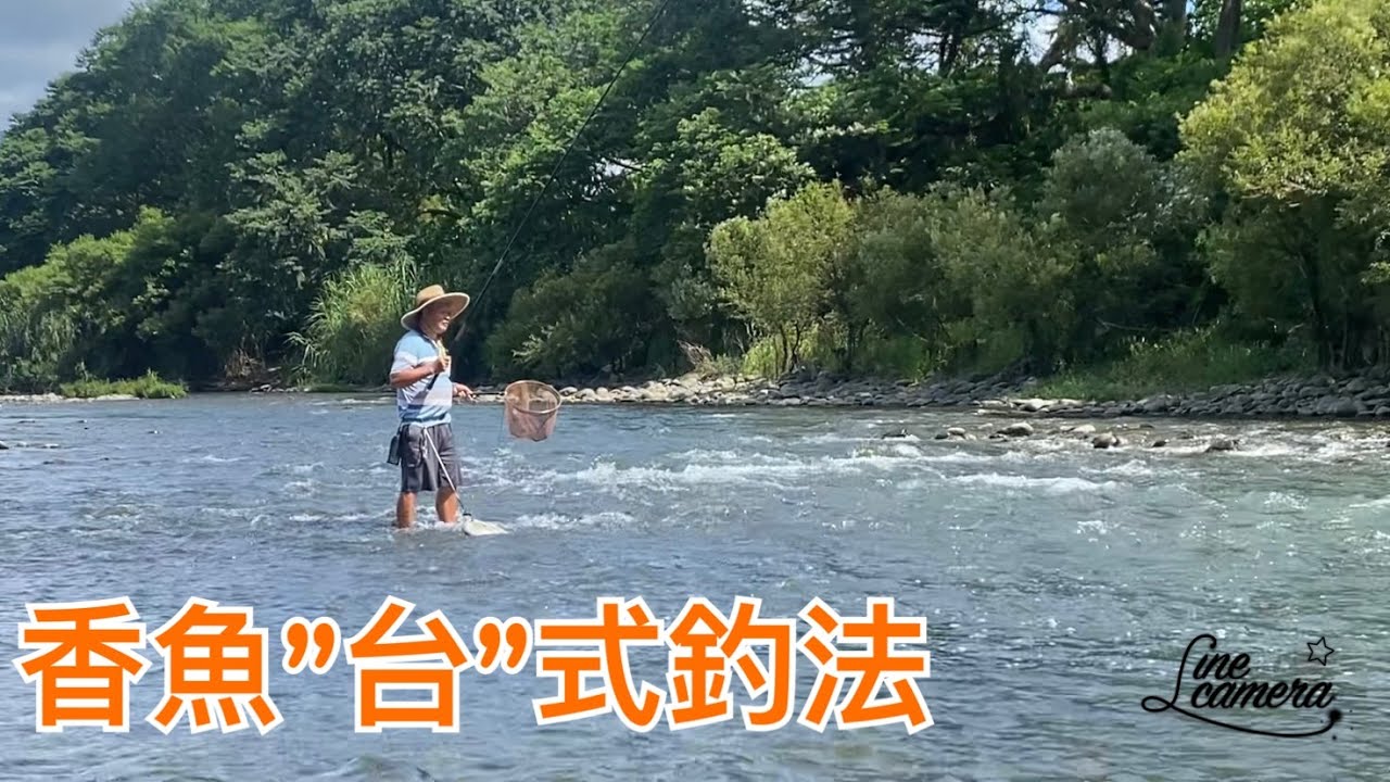 Creek fishing in Taiwan 你看過香魚的