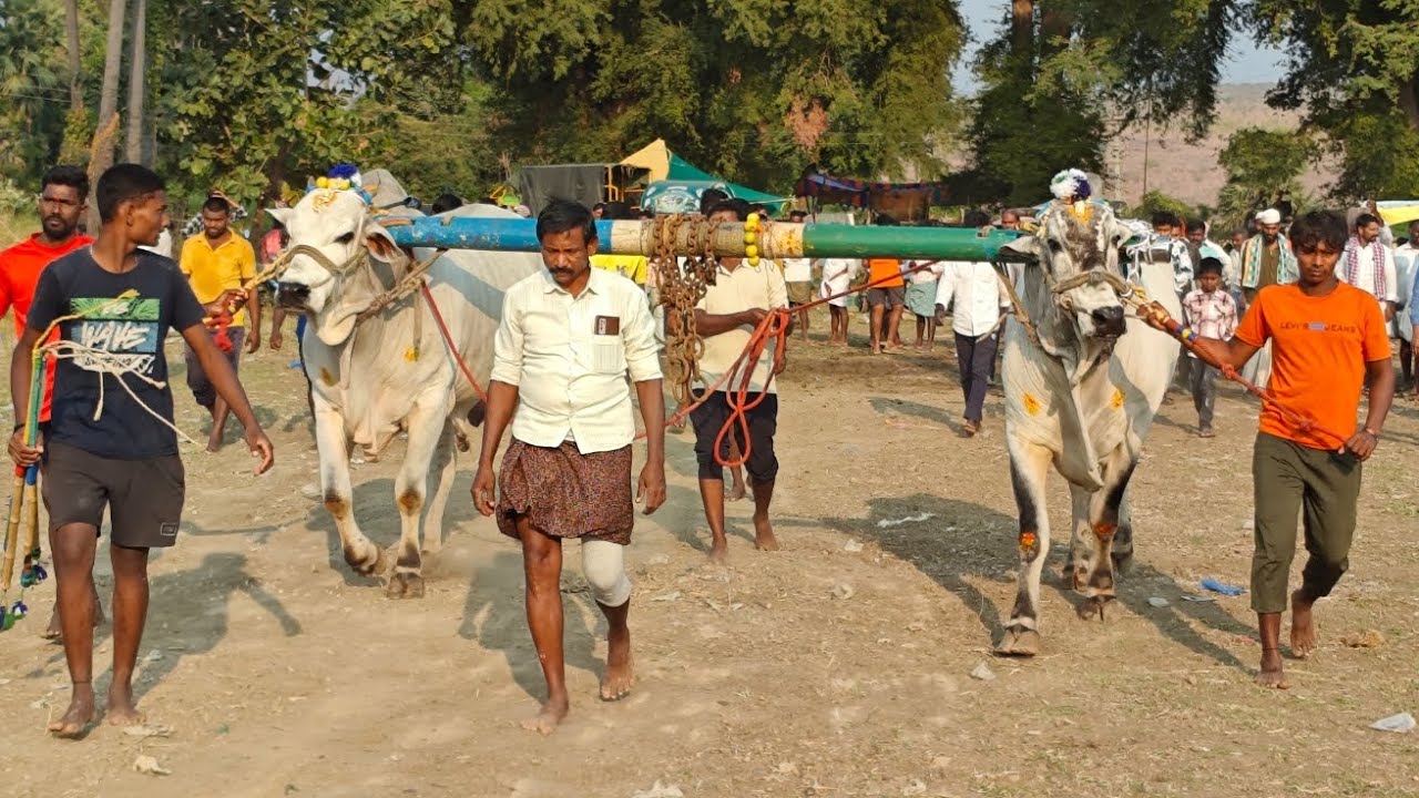 క్రిష్ణంపల్లె సేద్యపు విభాగంలో,15వ జత,కొంగు.వెంకటరమణయ్య గారు,పొట్టెపాలెం, నెల్లూరు జిల్లా