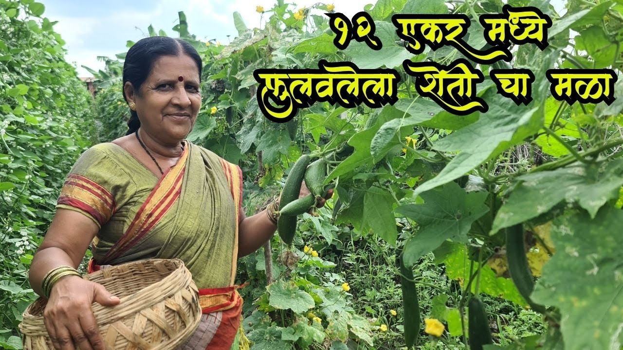 कष्टाचं चीज झालं , मेहनतीने वाढवलेला भाजीपाला आणि फळबाग आली तोडणीला | Gavran Ek Khari Chav | Farm