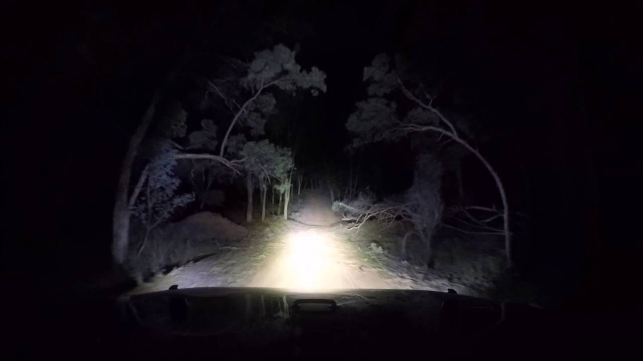 Pilliga Scrub 3.00 am part 3