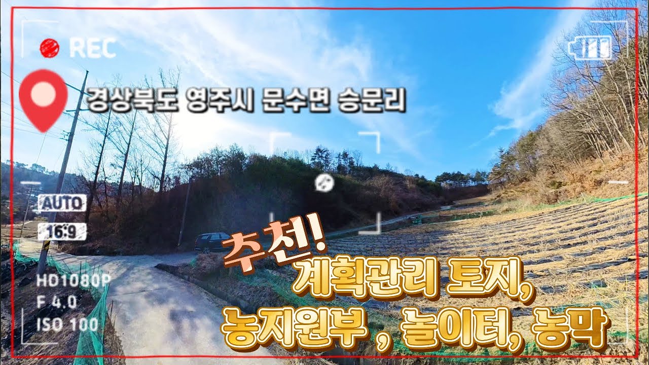 [매물번호 : 564번] #문수면 승문리에 위치한 저렴하게 매매하는 계획관리지역 토지! 다용도사용가능!