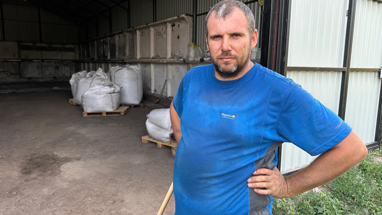 Мамкині бізнесмени хочуть купити пшеницю по 5 тисяч. КРИК ДУШІ. врожайність на огороді 48ц