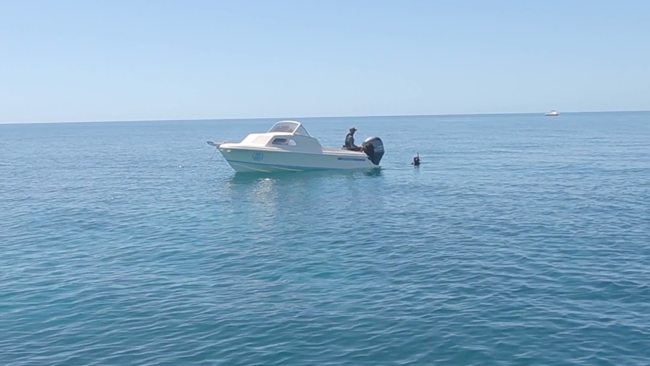 Haines Day TROUT RAGEbrothersadventures