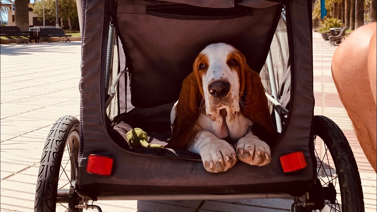 Cambrils en Salou April 2024 Deel 2 #25