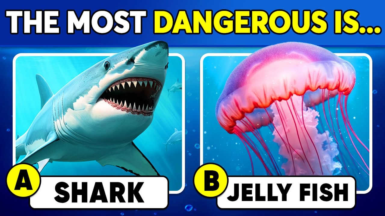 How Much Do You Know About Sea Animals? 🦈🪼🌊 General Knowledge Trivia Quiz