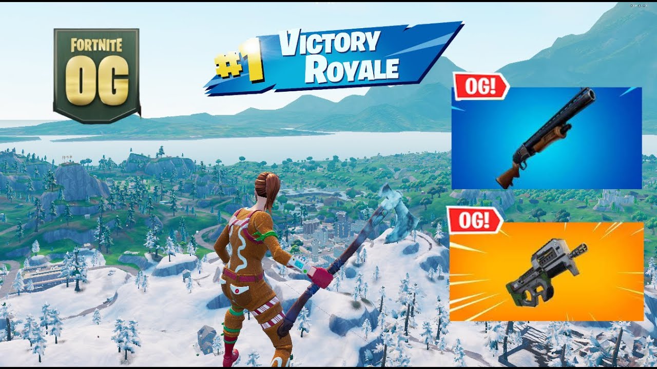 39 Kill Fortnite Solos 