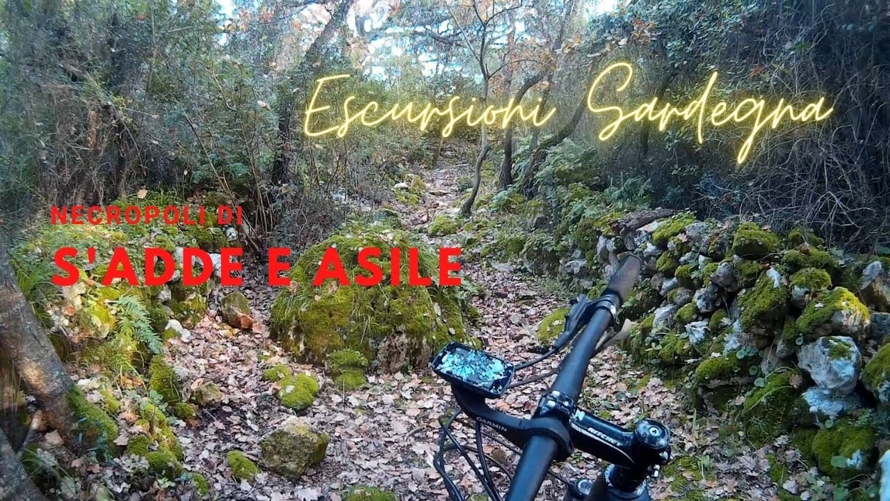 Escursioni in Sardegna - Necropoli di S'adde e Asile