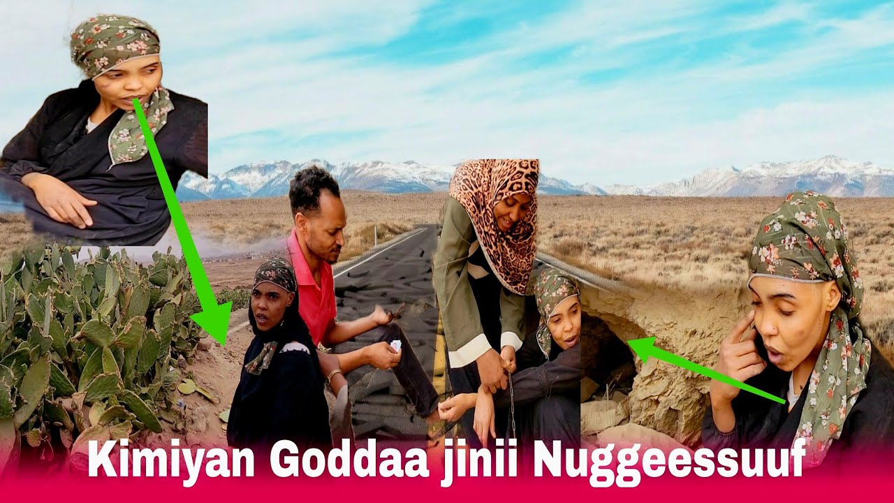 🛑😭KIMIYAN GODAA JERA ISANITI NUJAMSUU YAALTEE ITTI MILKOOFNE WAAN BAYEETUU HAFEE DUA'II NUUF GODHA☝️
