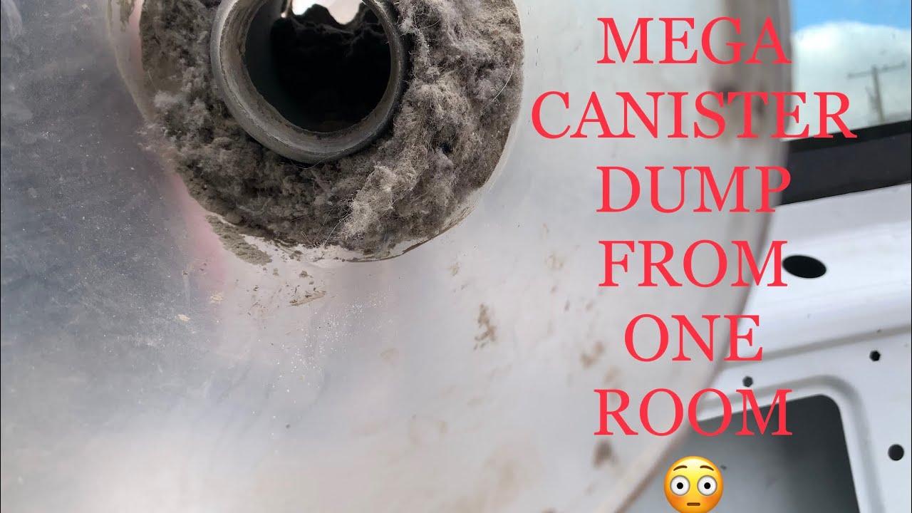 Cleaning Dusty Cartpets | Crunchy Vacuum | Canister Dump | ASMR | Professional Carpet Cleaning