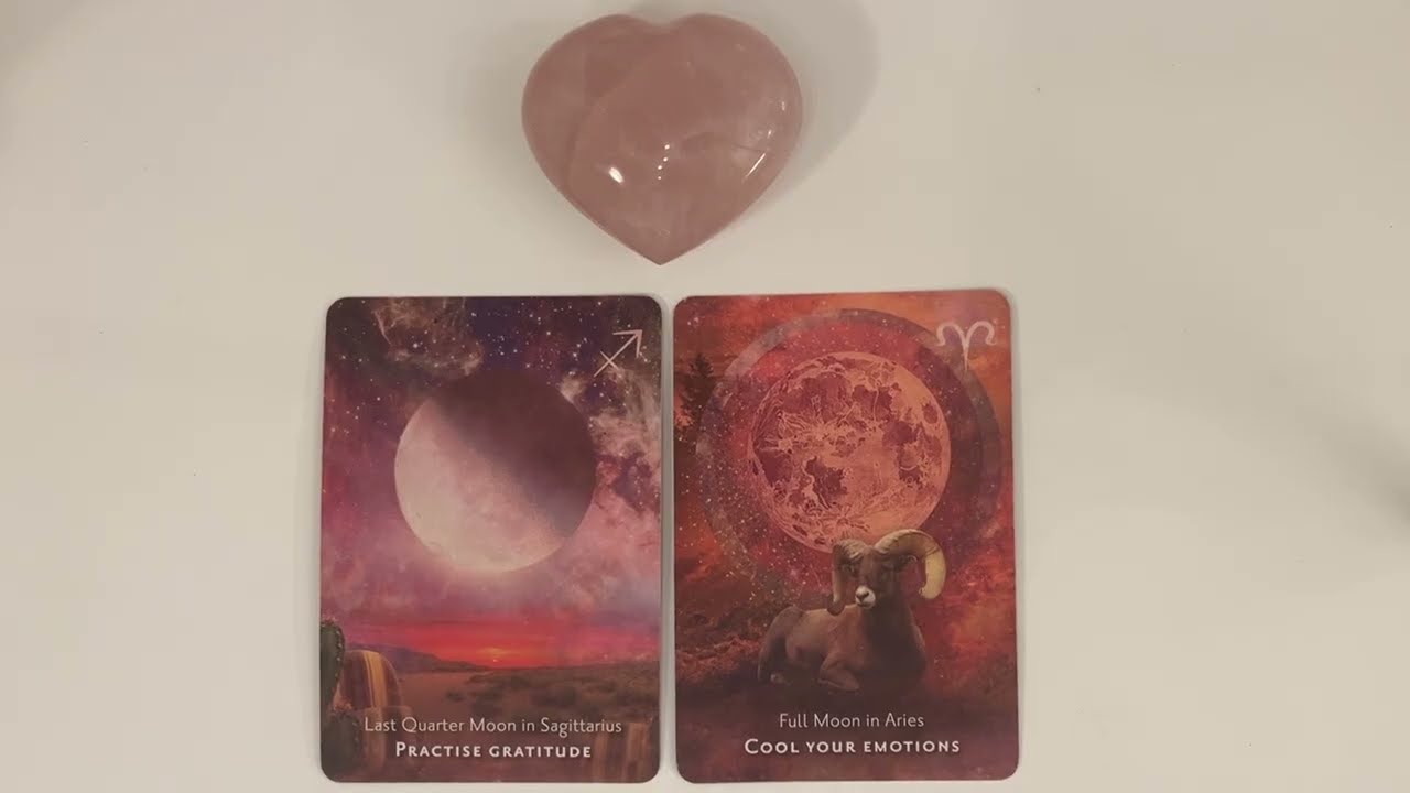 Your Next Partner (🌎 Earth Signs | Taurus • Virgo • Capricorn) | Timeless Tarot Reading
