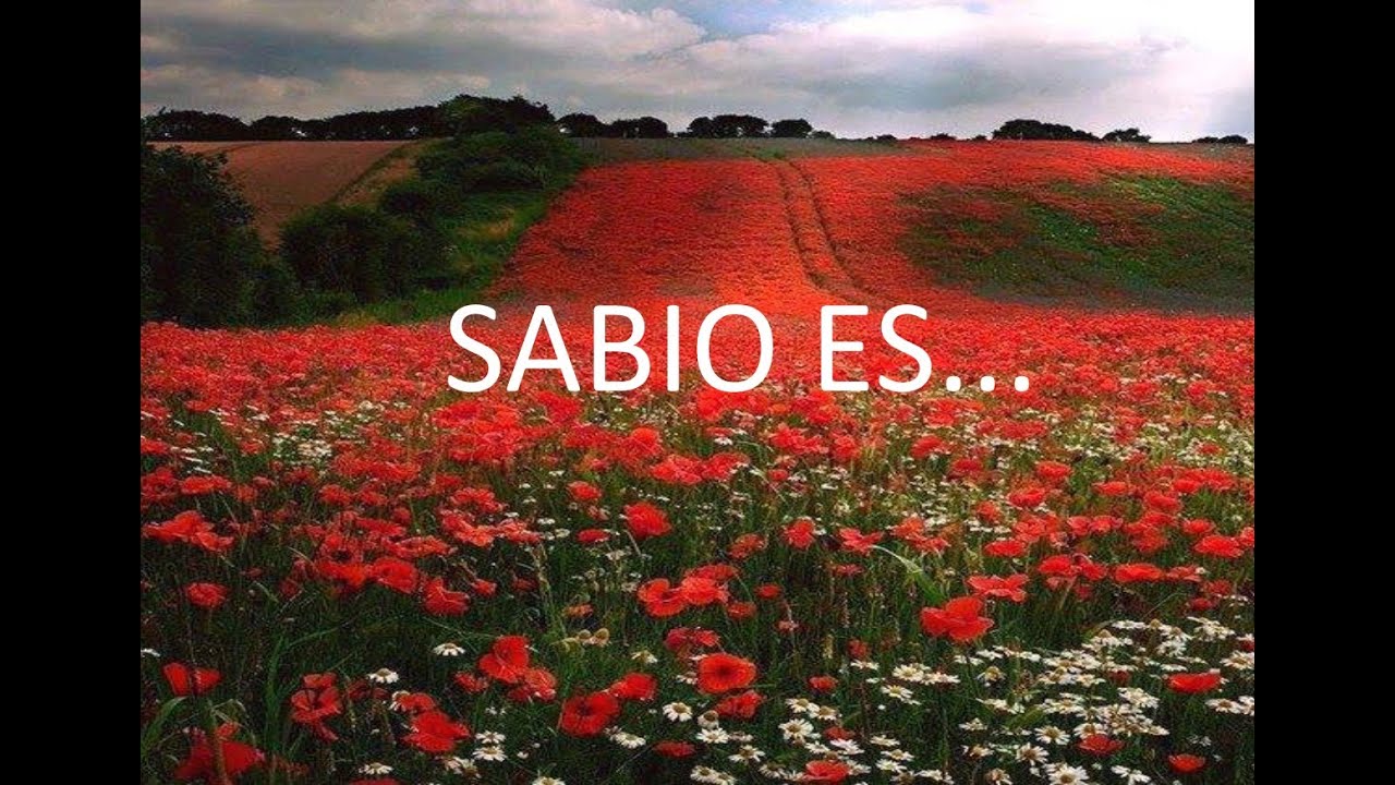 Sabio es