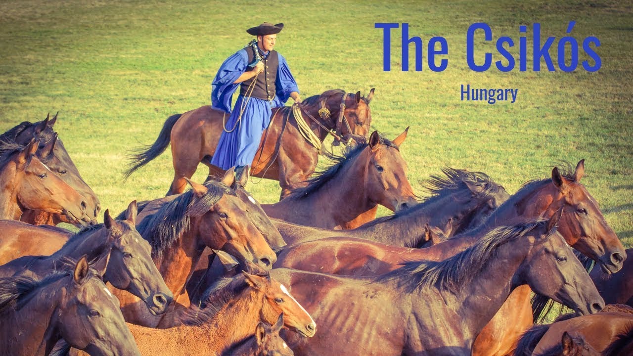 The Csikós - The last Wranglers of the Hungarian great plain