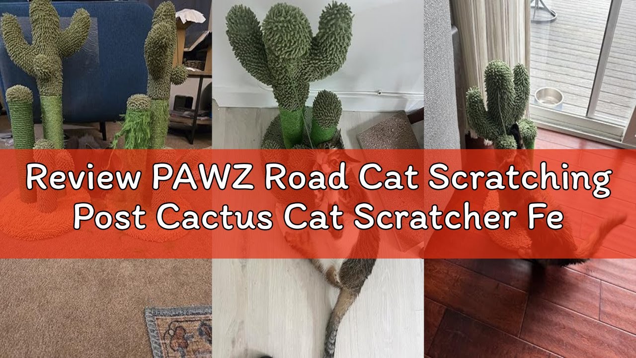 Review PAWZ Road Cat Scratching Post Cactus Cat Scratcher Featuring with 3 Scratching Poles and Inte