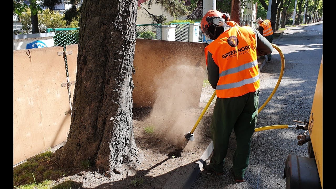 AirSpade Gdynia - Krzysztof Podmokły GREEN NORD
