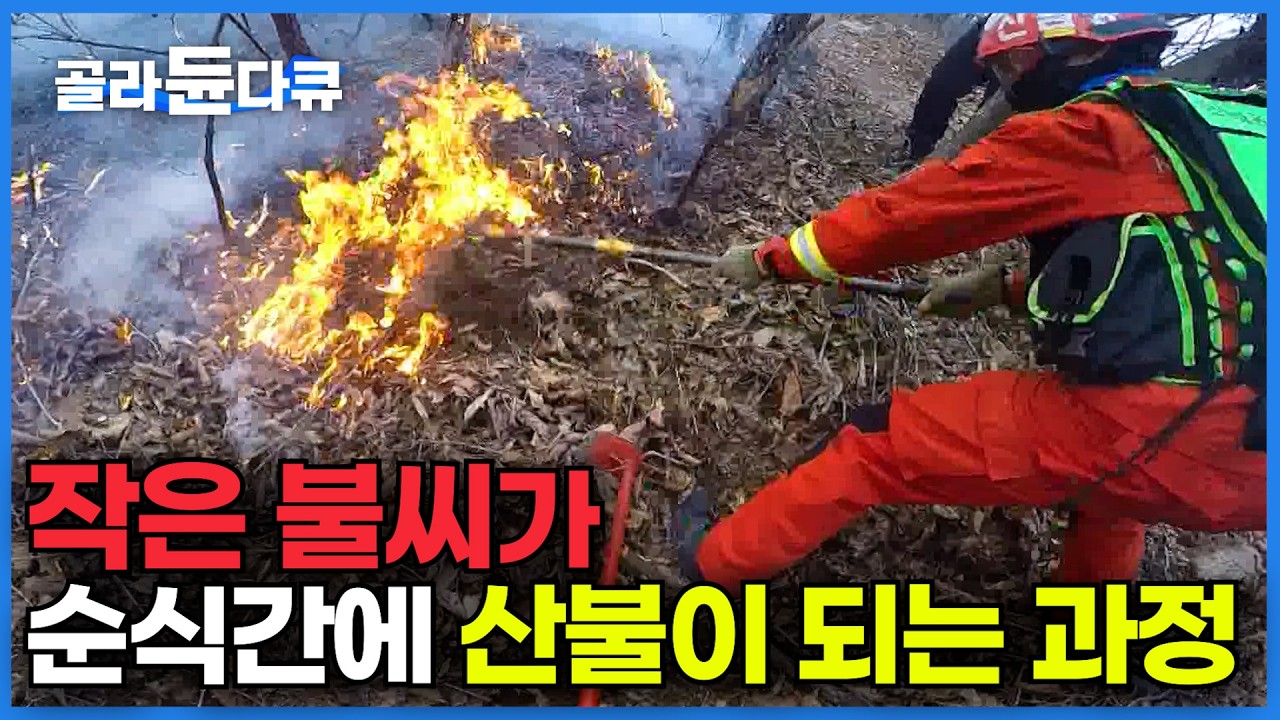 헬기로 퍼 나르는 것도 소용없다. 직접 내려가서 불 끄는 산불 진화대원들｜눈 깜짝할 새. 커다란 연기가 피어오르는 대형 산불ㅣ쉴 새 없이 출동한다｜극한직업｜#골라듄다큐