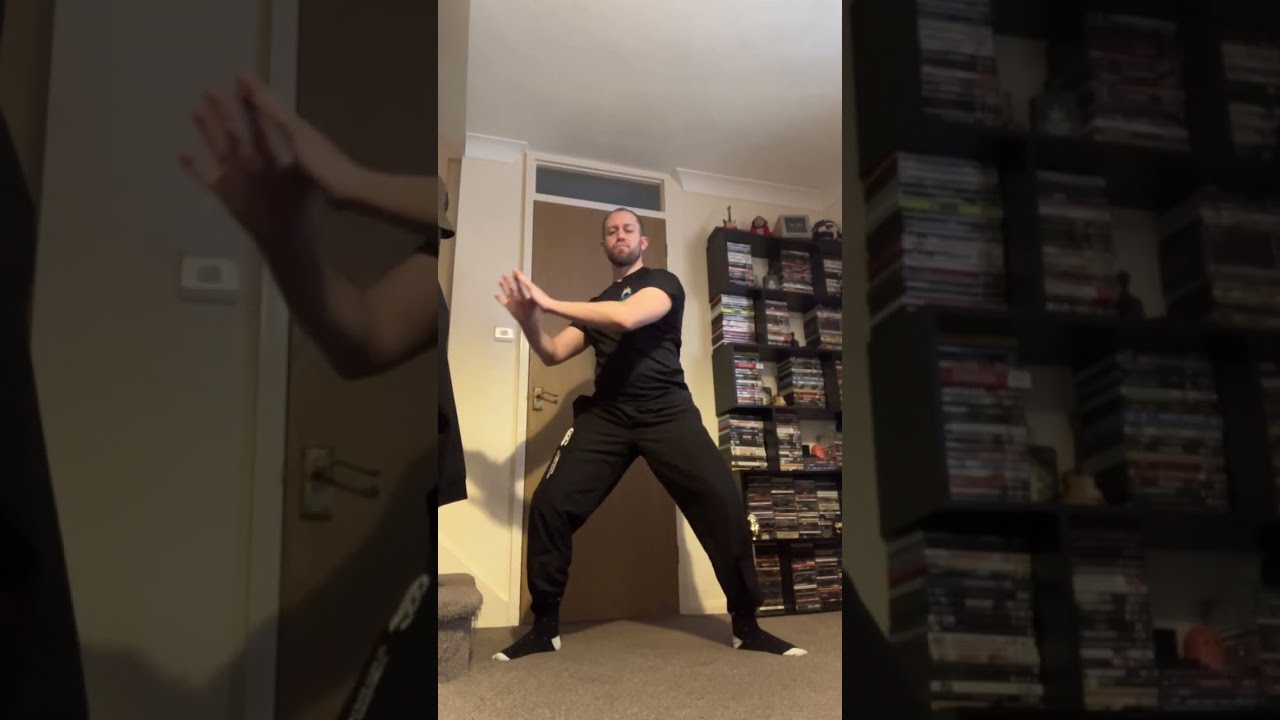 Adaptive Tai-Chi