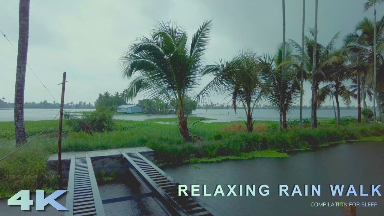 Heavy Rain & Thunder in a Lush Green Village | 4K ASMR Rain Walk for Deep Sleep & Relaxation