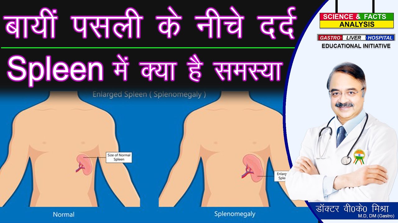बायीं पसली के नीचे दर्द Spleen में क्या समस्या || ORGANS INSIDE ABDOMEN Part 3