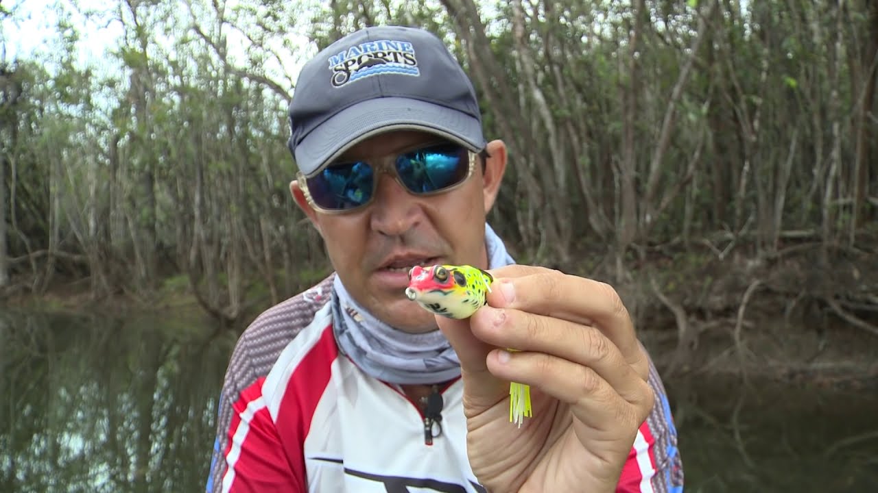 COMO USAR SAPOS (FROGS) PARA PESCAR TRAÍRAS?