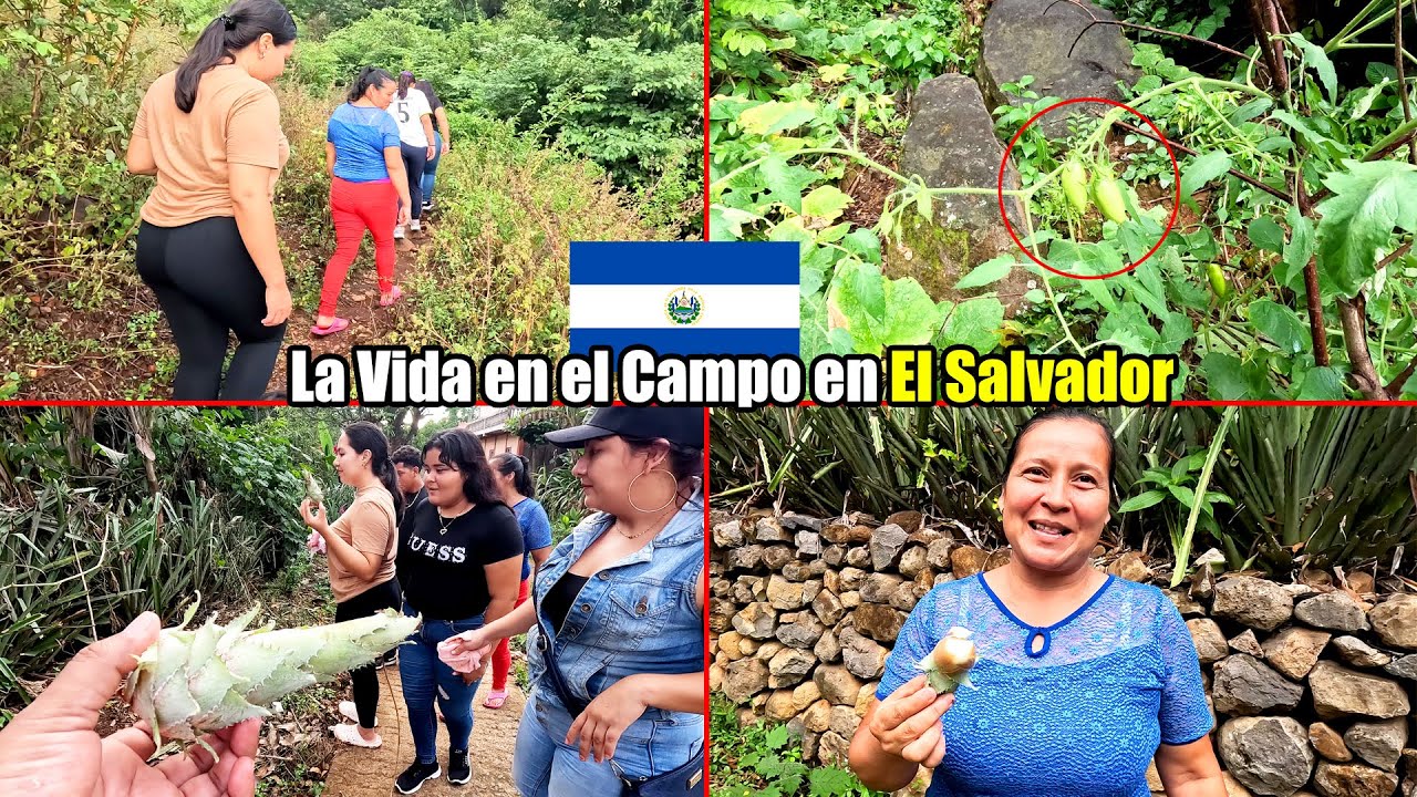 AS&Iacute; DE HERMOSA ES LA VIDA EN EL CAMPO EN EL SALVADOR 😍 SI NO CRECISTE AS&Iacute; NO LO ENTENDER&Aacute;S!