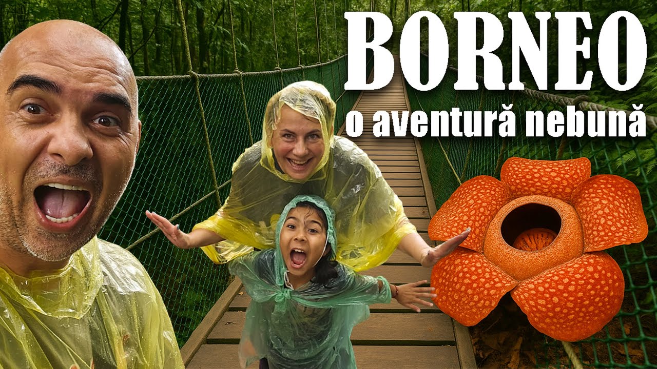 Suspans în junglă: canopy walk și cea mai mare floare din lume! 😱🌺