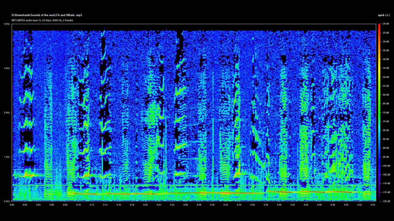 Modern Sonar Sounds and other Sounds of the Sea