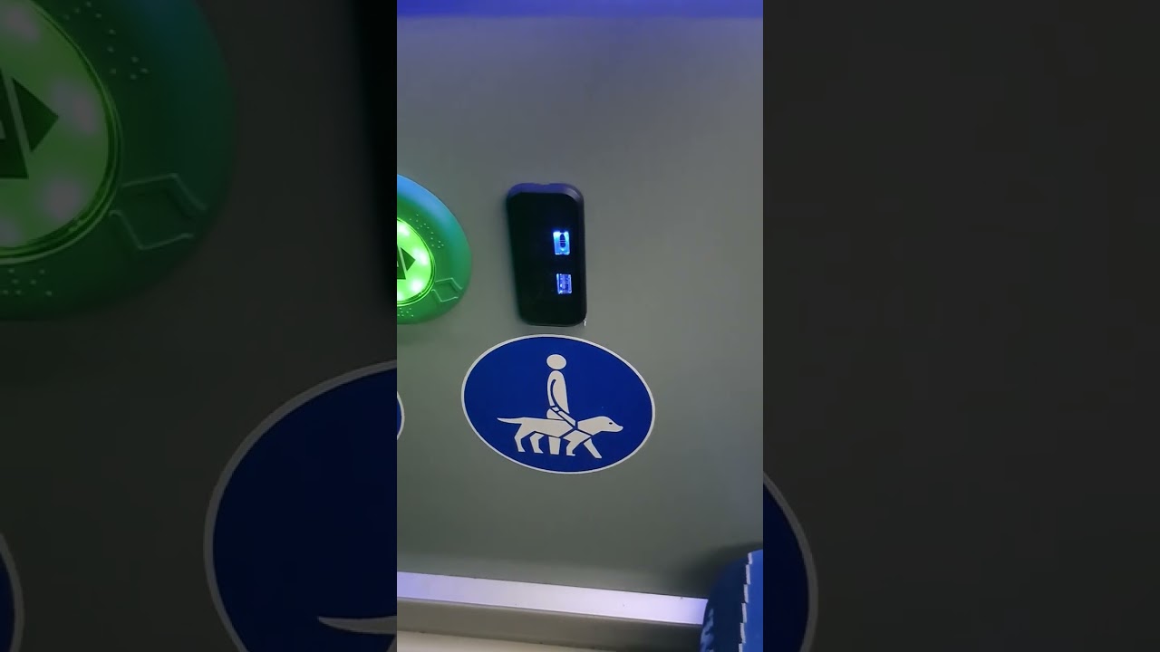Bugünkü otobüsüm Elektrikli
