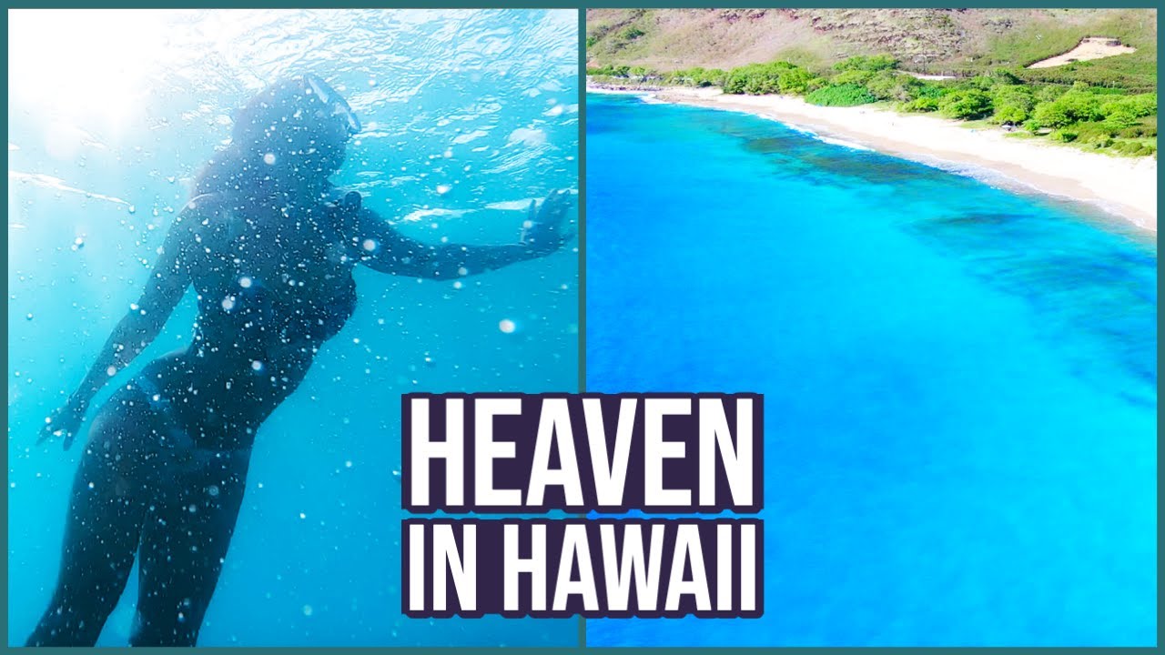WEST OAHU SURPRISED US (with amazing places to see)