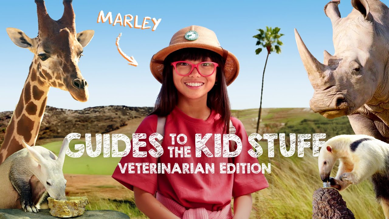 Guides to the Kid Stuff: Future Veterinarian Edition - at the San Diego Zoo Safari Park