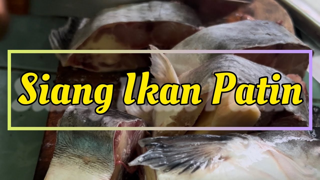 Siang Ikan Patin