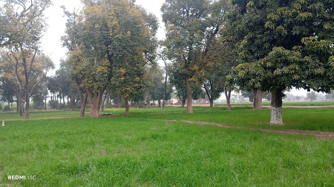 Zahid Ramzan is live. Subah subah gaon ki Surat HAL taaja tarin