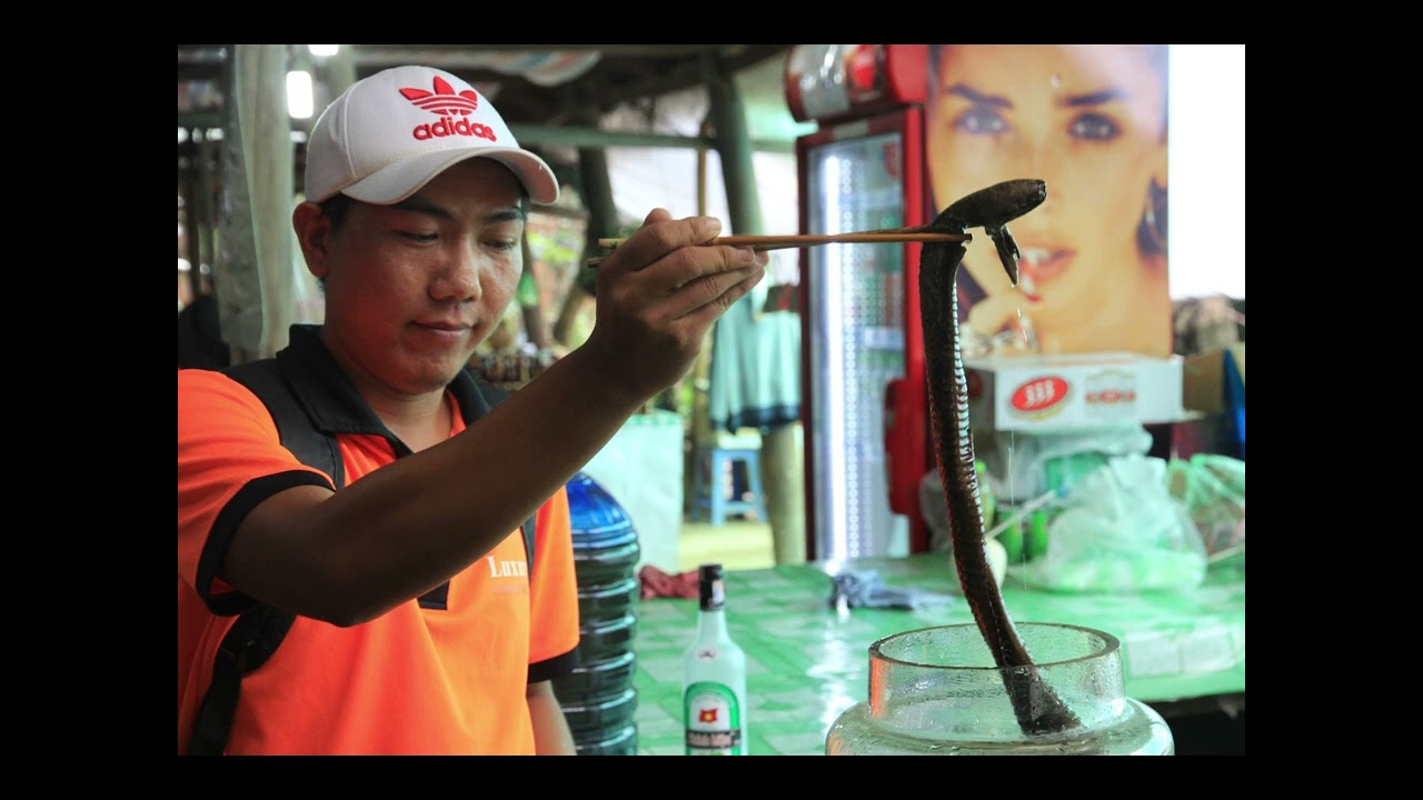 VIETNAMAS.Ar ragavome šunienos? III dalis