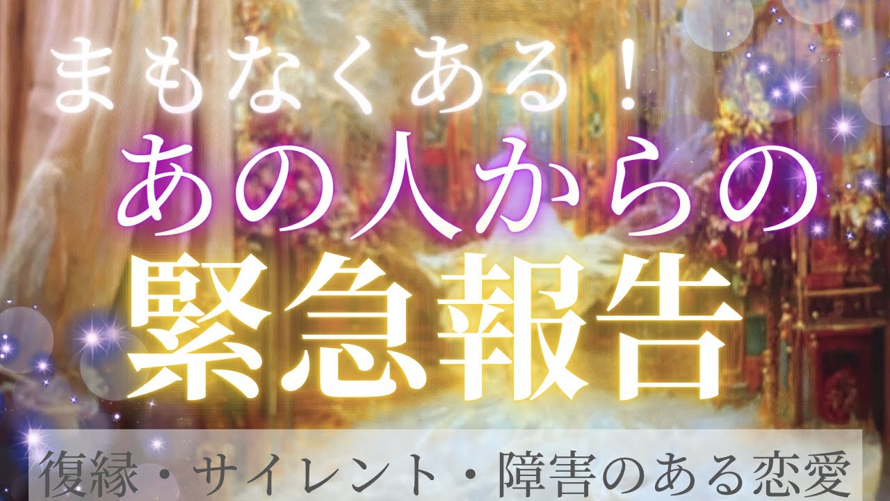 【緊急リーディング】ついにその時が来た！？お相手さまからお伝えしたいということで💕本気の思い聞いてしまいました✨🕊恋愛・復縁・サイレント・曖昧・複雑恋愛【タロット・オラクル・ルノルマン】
