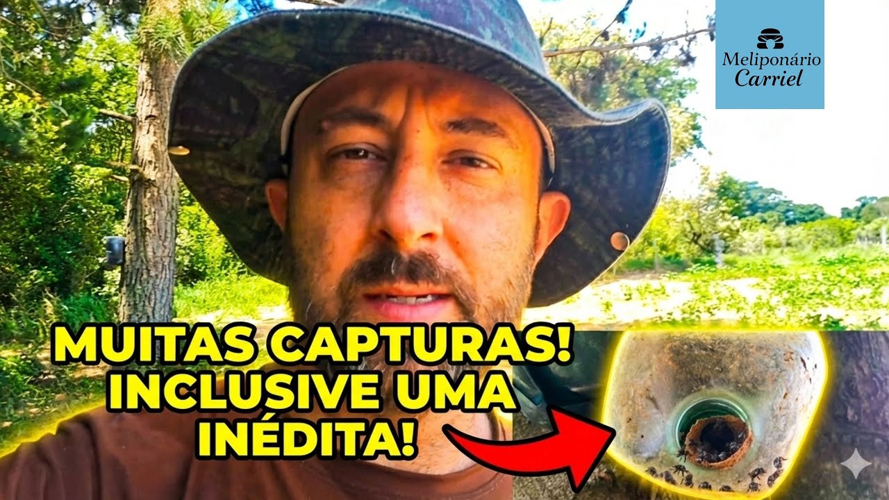 Muitas capturas... e outra SURPRESA INCRÍVEL! 🐝 O que será? (Parte 1)
