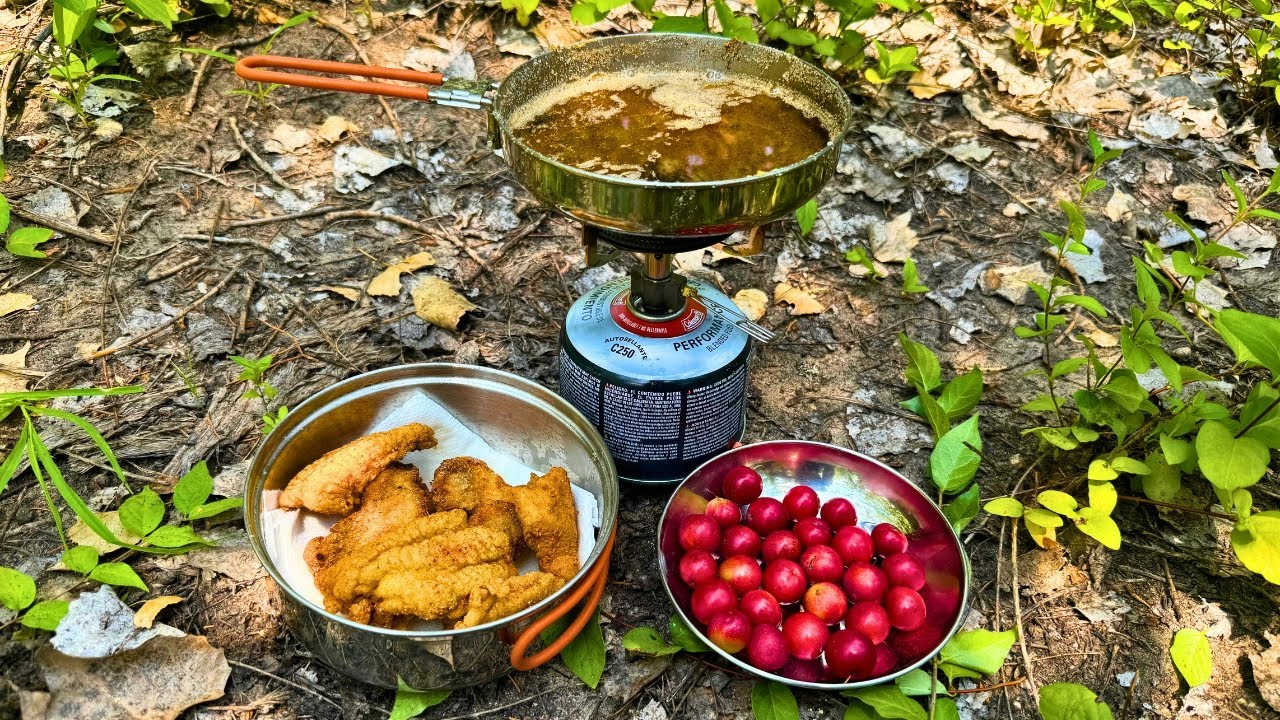 Catfish and WILD Sandhill Plums Catch & Cook at a SECRET POND!