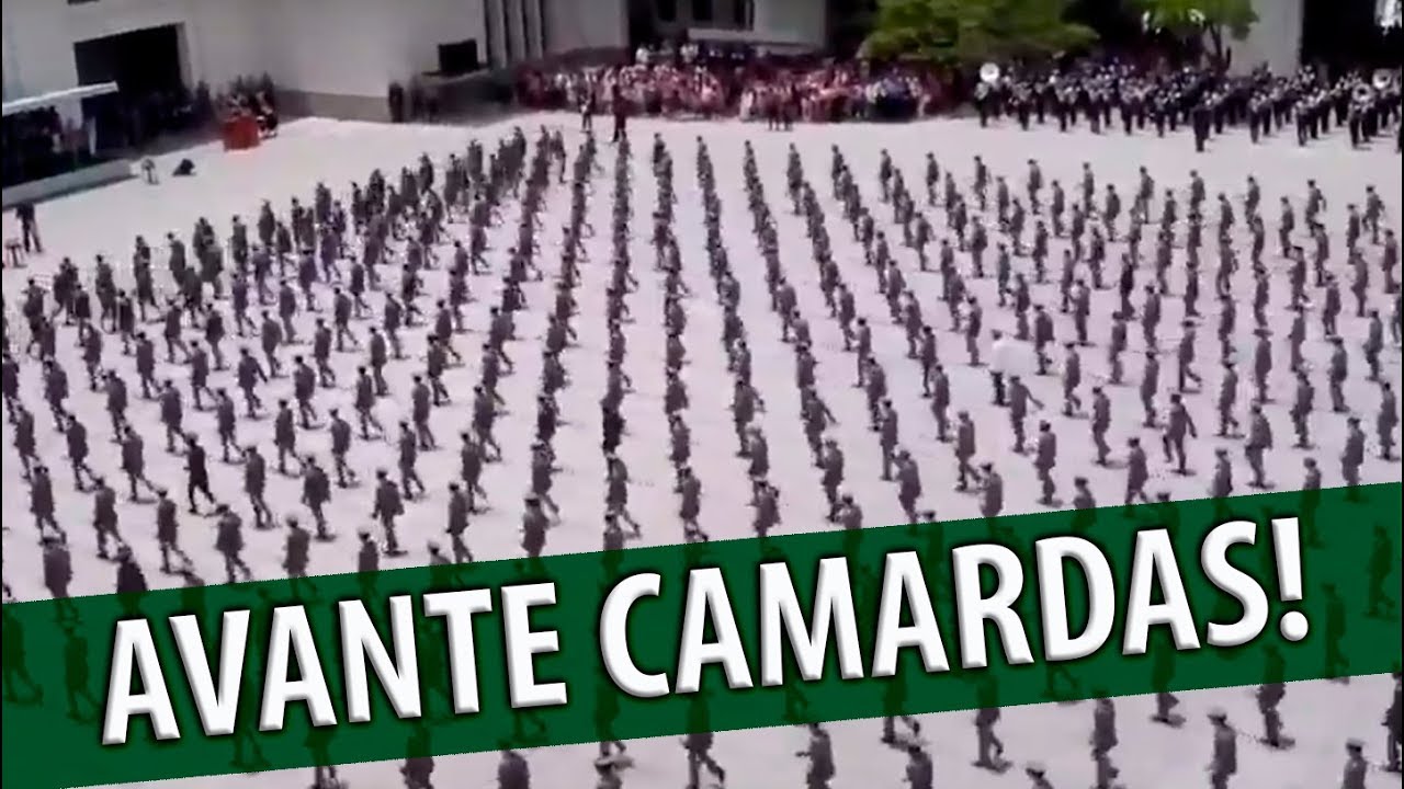 Avante Camaradas